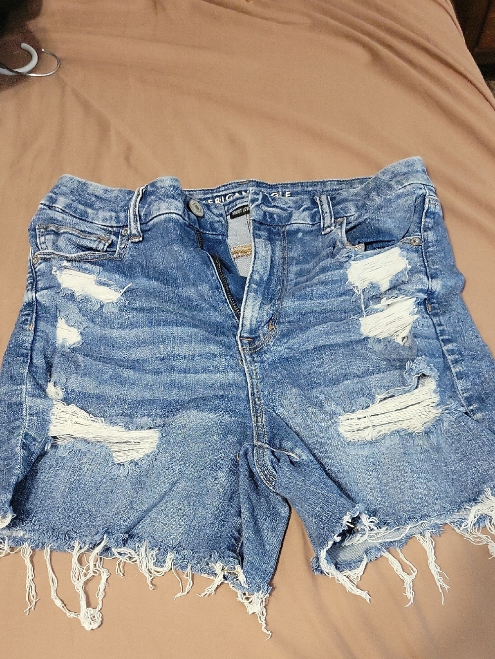 American Eagle Outfitters Distressed Light Blue Denim Shorts